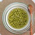 Blechdose vegetarisches Essen Dosengemüse mit grünen Bohnen